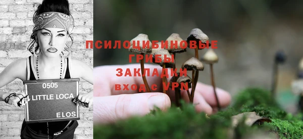 дмт Абаза