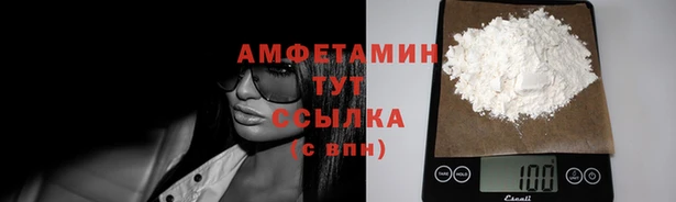 дмт Абаза