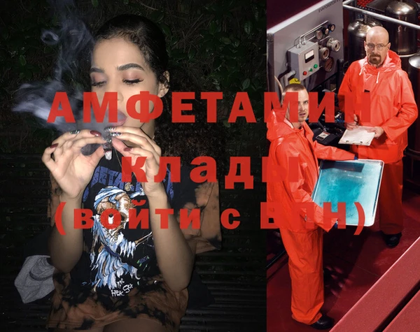 дмт Абаза