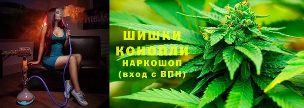 трава Осинники