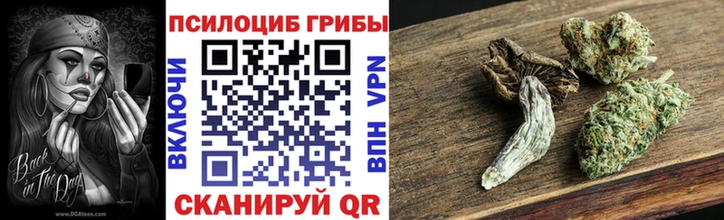 Псилоцибиновые грибы прущие грибы  хочу   Агидель 