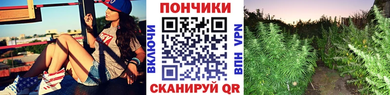 Конопля ГИДРОПОН Агидель